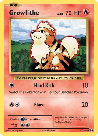 Growlithe 017 XY Evolutions - Common