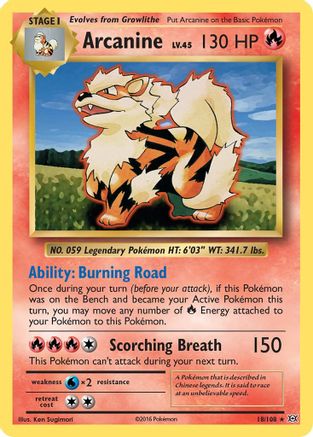 Arcanine 018 - Reverse Holofoil XY Evolutions - Rare