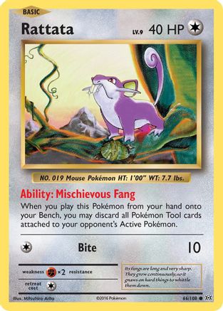 Rattata 066 XY Evolutions - Common