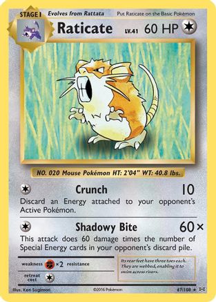 Raticate 067 - Reverse Holofoil XY Evolutions - Rare