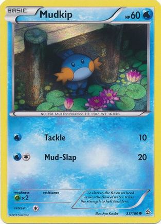 Mudkip (Sheen Holo) 033/160 - Holofoil Miscellaneous Cards & Products - Promo
