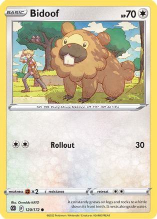 Bidoof 120 SWSH09 Brilliant Stars - Common