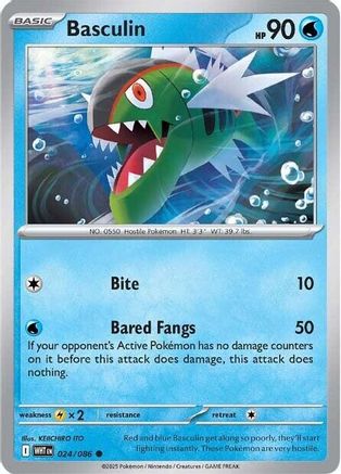 Basculin 024 SV White Flare - Common