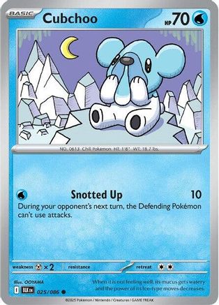 Cubchoo 025 SV Black Bolt - Common