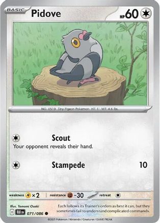 Pidove 071 SV Black Bolt - Common