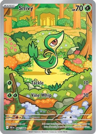 Snivy 087/086 - Holofoil SV Black Bolt - Illustration Rare