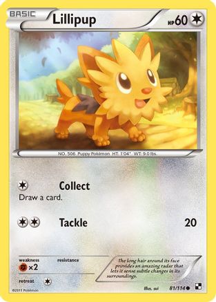Lillipup (81) Black and White - Common