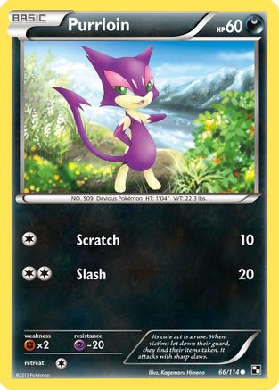 Purrloin Black and White - Common
