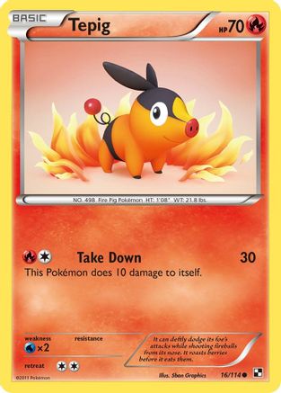 Tepig (16) - Reverse Holofoil Black and White - Common