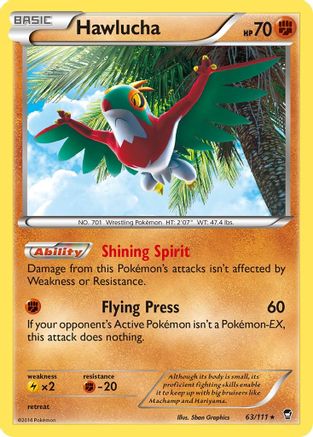 Hawlucha 063 - Holofoil XY Furious Fists - Holo Rare