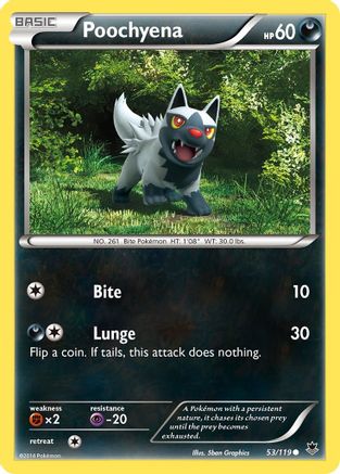 Poochyena 053 XY Phantom Forces - Common