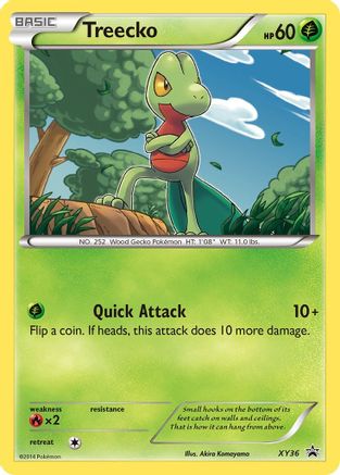 Treecko - XY36 - Holofoil XY Promos - Promo