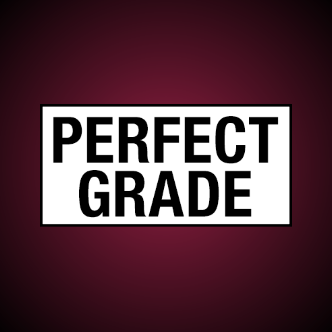 Perfect Grade [PG]