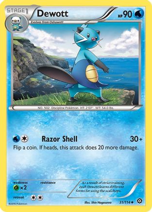 Dewott 031  - Reverse Holofoil XY  Steam Siege - Uncommon
