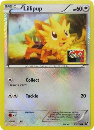 Lillipup (League Promo) 081/114  - Reverse Holofoil League & Championship Cards - Promo
