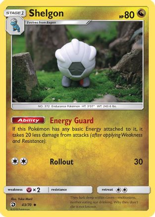 Shelgon 043  - Reverse Holofoil Dragon Majesty - Uncommon