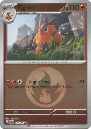 Pignite (Energy Symbol Pattern) 030  - Reverse Holofoil ME Ascended Heroes - Uncommon