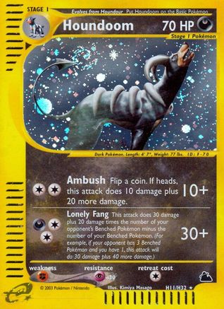 Houndoom (H11)  - Holofoil Skyridge - Holo Rare