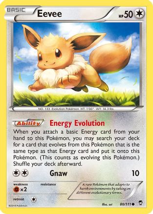 Eevee 080  XY  Furious Fists - Common
