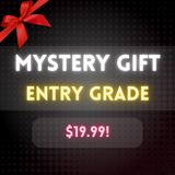 Mystery Gift! Random Model Kit