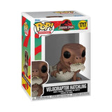 Funko Pop! Movies: Jurassic Park - Dilophosaurus Hatchling #1718 / Stygimoloch Hatchling #1719 / T-Rex Hatchling #1716 / Velociraptor Hatchling #1717