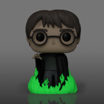 FUNKO POP! HARRY POTTER with FLOO POWDER GLOW [FUNKO SHOP EXCLUSIVE] #153