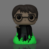 FUNKO POP! HARRY POTTER with FLOO POWDER GLOW [FUNKO SHOP EXCLUSIVE] #153