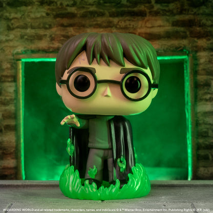 FUNKO POP! HARRY POTTER with FLOO POWDER GLOW [FUNKO SHOP EXCLUSIVE] #153