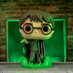 FUNKO POP! HARRY POTTER with FLOO POWDER GLOW [FUNKO SHOP EXCLUSIVE] #153